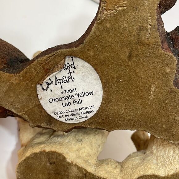 A BREED APART CHOCOLATE AND YELLOW LABRADOR RETRIEVER PAIR - Picture 10 of 10